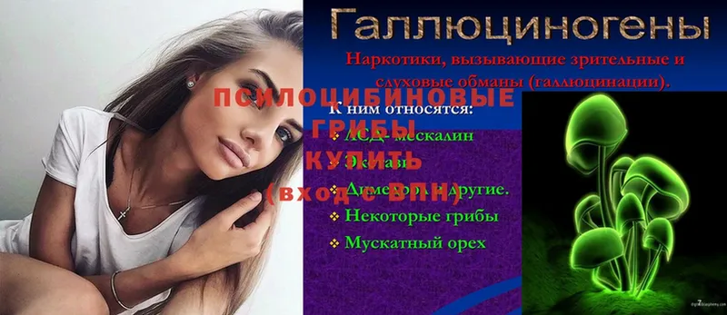 МЕГА ТОР  Бабушкин  Галлюциногенные грибы мицелий 